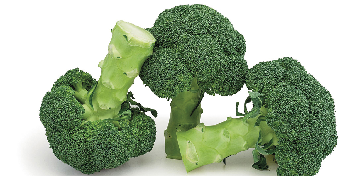 Gongga e Monrello, i broccoli innovativi di Syngenta